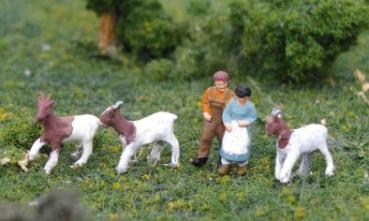 Kinder mit 3 Ziegen