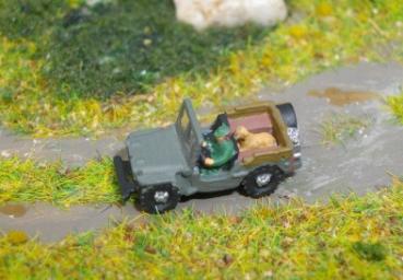 Förster mit Hund im Jeep
