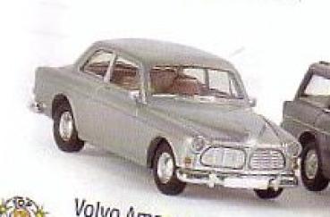 Volvo Amazon, silber