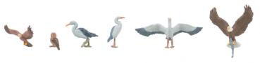 Wildvögel