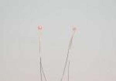 2 LEDs, rot, micro, lange Drähte