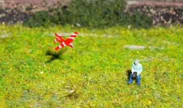 Mann mit RC-Flugzeug