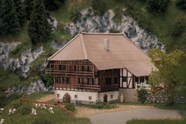 Jubiläumsmodell "Schwarzwaldhof"