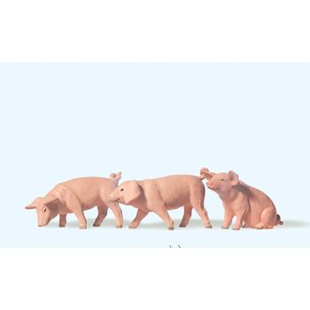 3 Ferkel