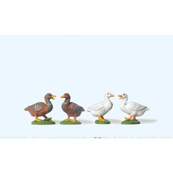 4 Enten