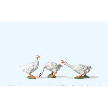 3 Gänse