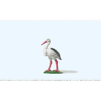 Storch