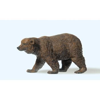 Braunbär, gehend