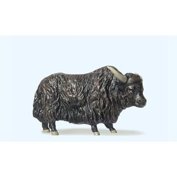 Yak