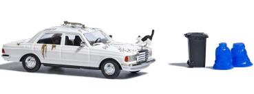 Action-Set: Auto mit Katzen