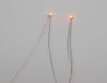 2 LEDs, blau, micro, kurze Drähte