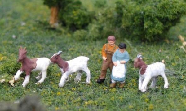 Kinder mit 3 Ziegen