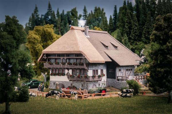 Jubiläumsmodell: Schwarzwaldhof mit 2 Figuren