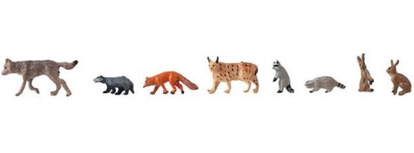 Tiere im Wald