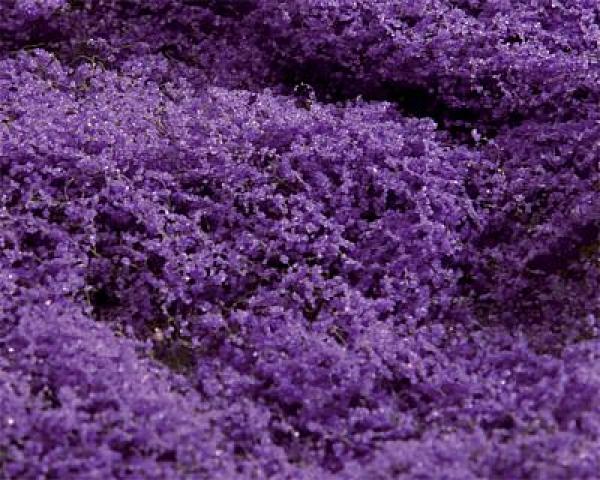 Blumenwiesenvlies violett