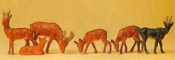 Rehe und Gemsen