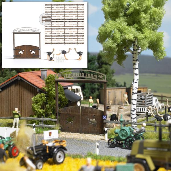 Straußenfarm