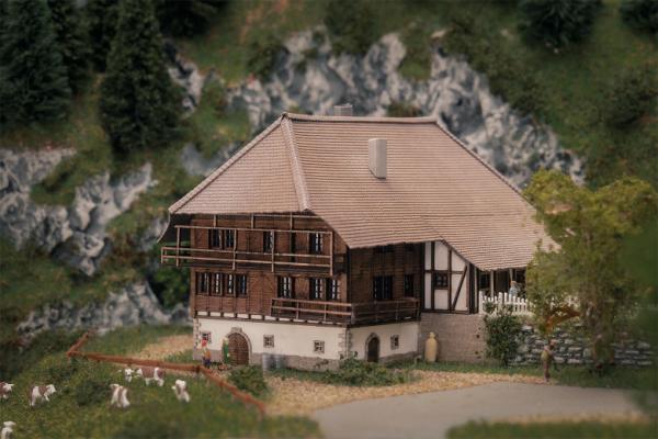 Jubiläumsmodell "Schwarzwaldhof"