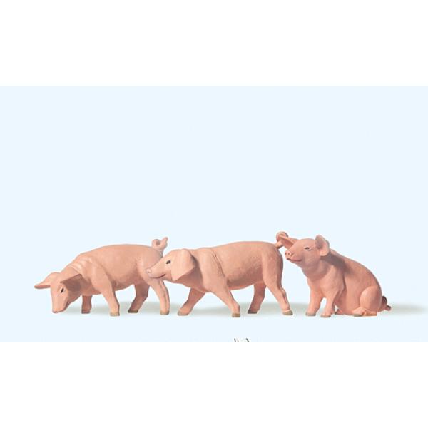 3 Ferkel