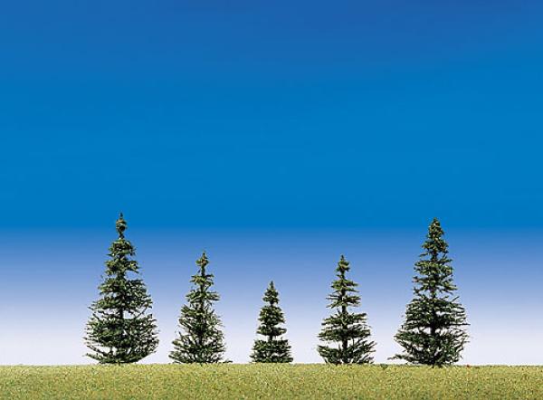 Steck-Edeltannen, 30 Stk.